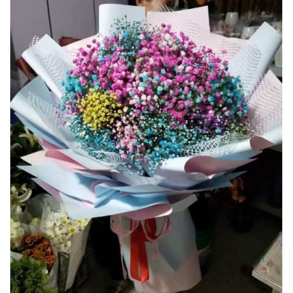 繁星落城，漫若浮光